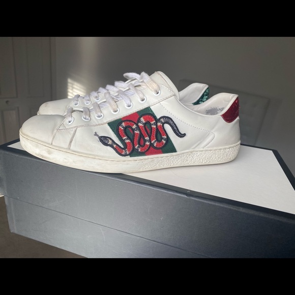 Gucci Snake leather sneakers - Picture 12 of 12